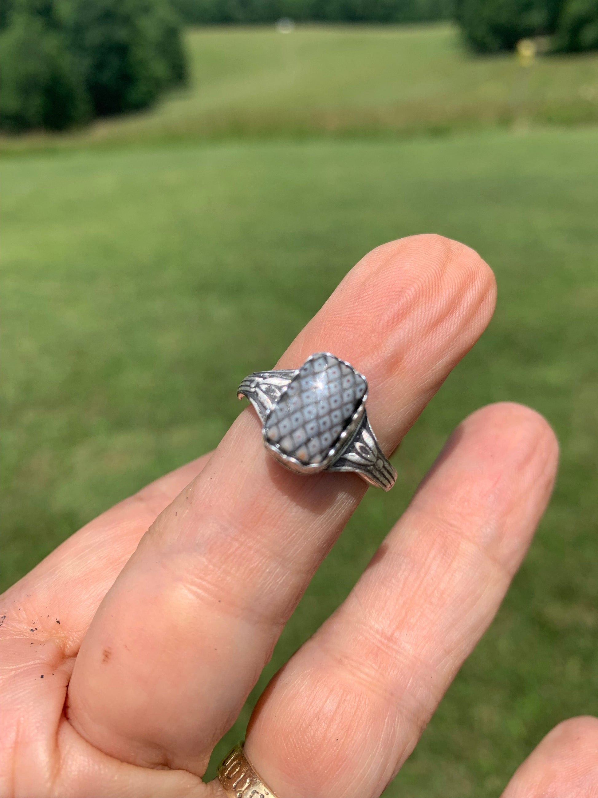 Snakeskin Jasper ring on finger