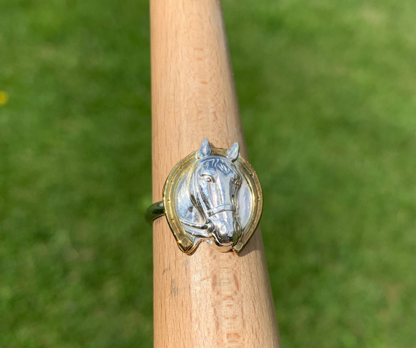 Horsehead Silver Ring size 6